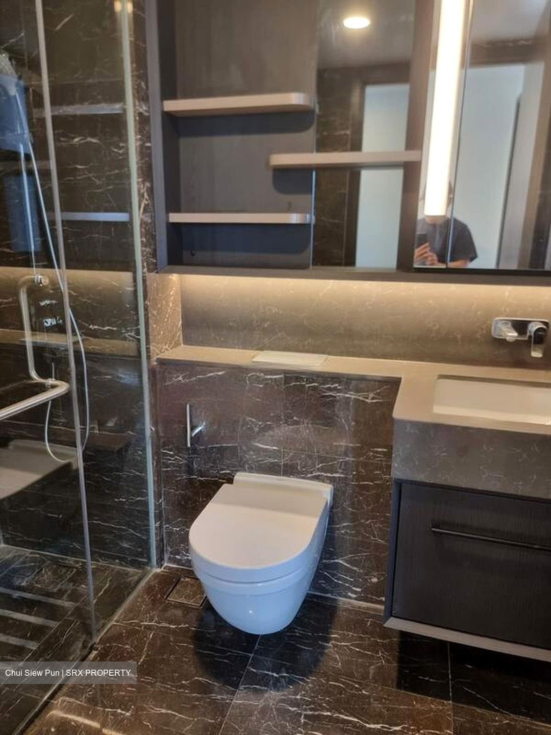 Neu At Novena (D11), Apartment #548225131